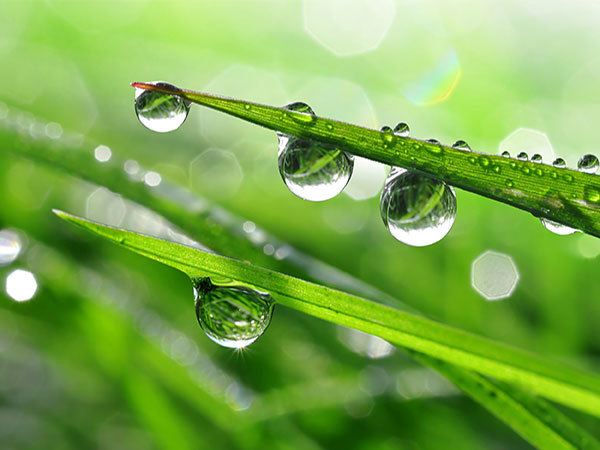 Go green by implementing water conservation methods.