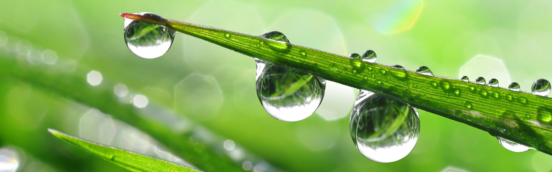 Kelowna Irrigation Repair helps you go green through a variety of water conservation choices.